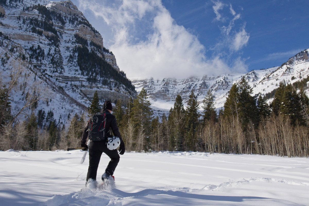 Dr. Dan Gubler treks through snow towards a majestic mountain peak, surrounded by a line of trees, in the Rocky Mountains